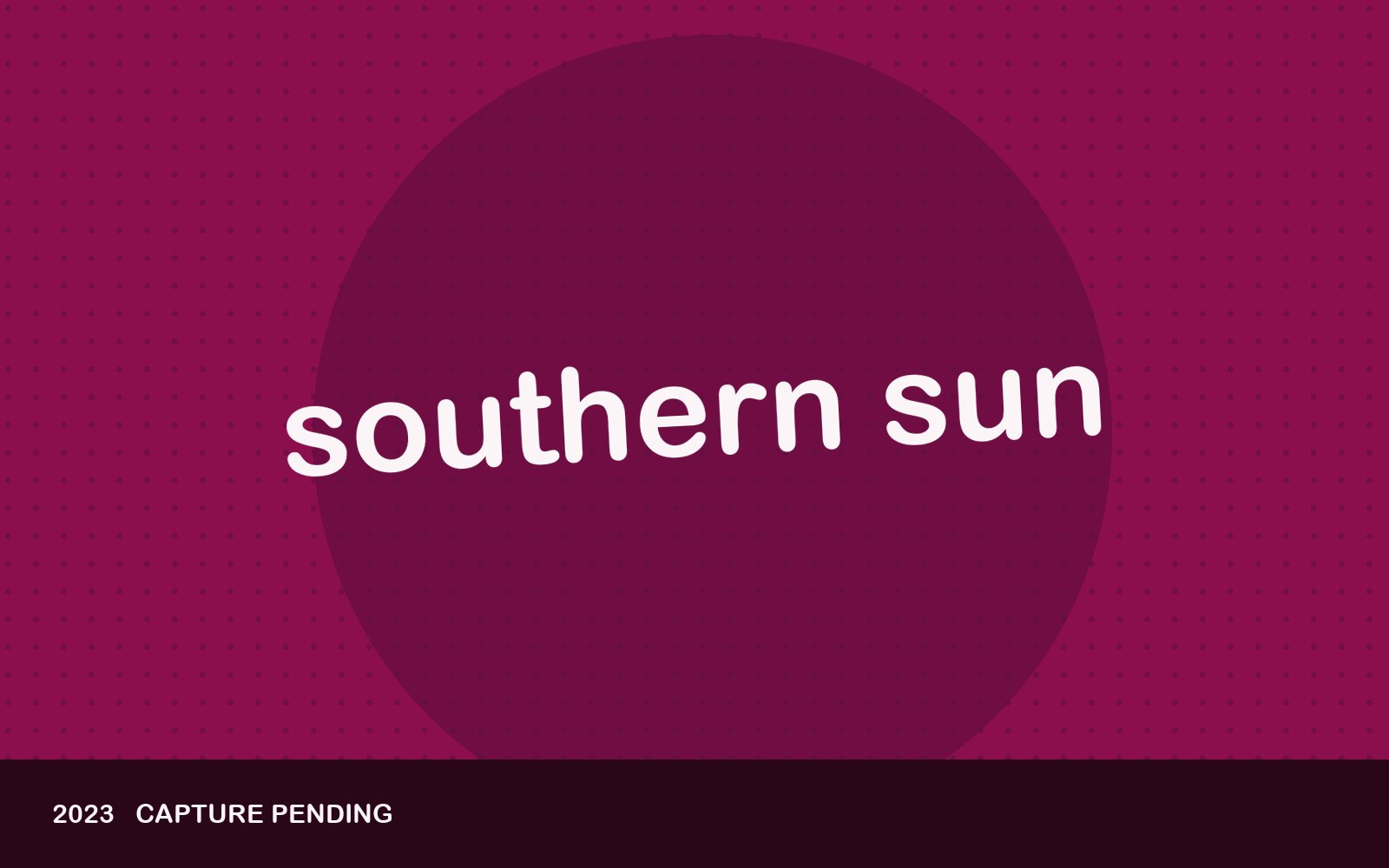 Southern Sun — brand plate standing in for a screenshot. Hotel and resort group — booking-led design where search does the heavy lifting.